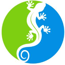 centro-veterinario-las-torres